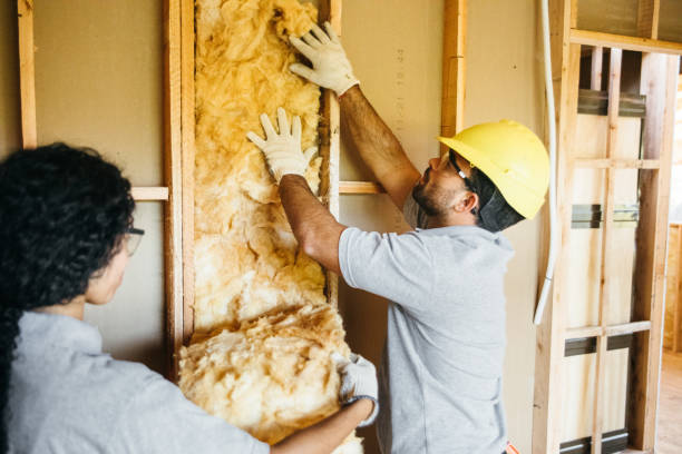 Best Commercial Insulation Services  in Roxborough Park, CO